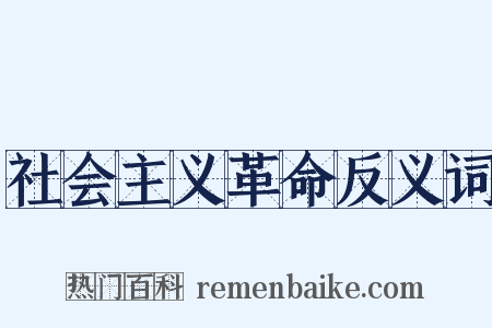 社会主义革命反义词是什么意思的图片